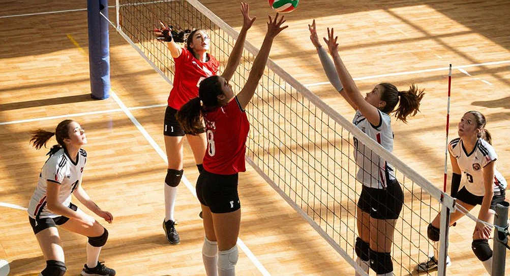 Brazil Wins South American Title and LA 2028 Olympic Berth: Behind Julia Bergmann's 12 Points Off the Bench