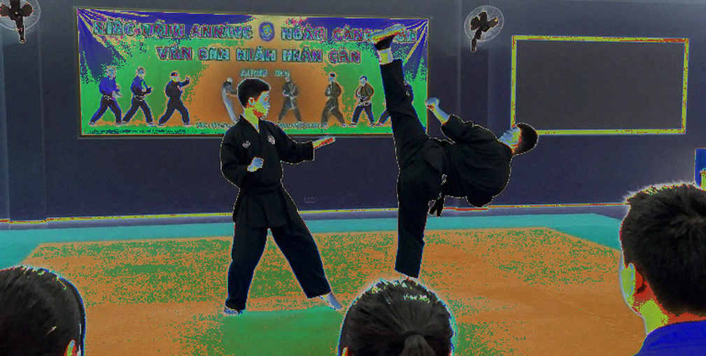 Dương Thúy Vi, 0,133 điểm và bài toán kế thừa của wushu Việt Nam Dương Thúy Vi, 0,133 điểm và bài toán kế thừa của wushu Việt Nam